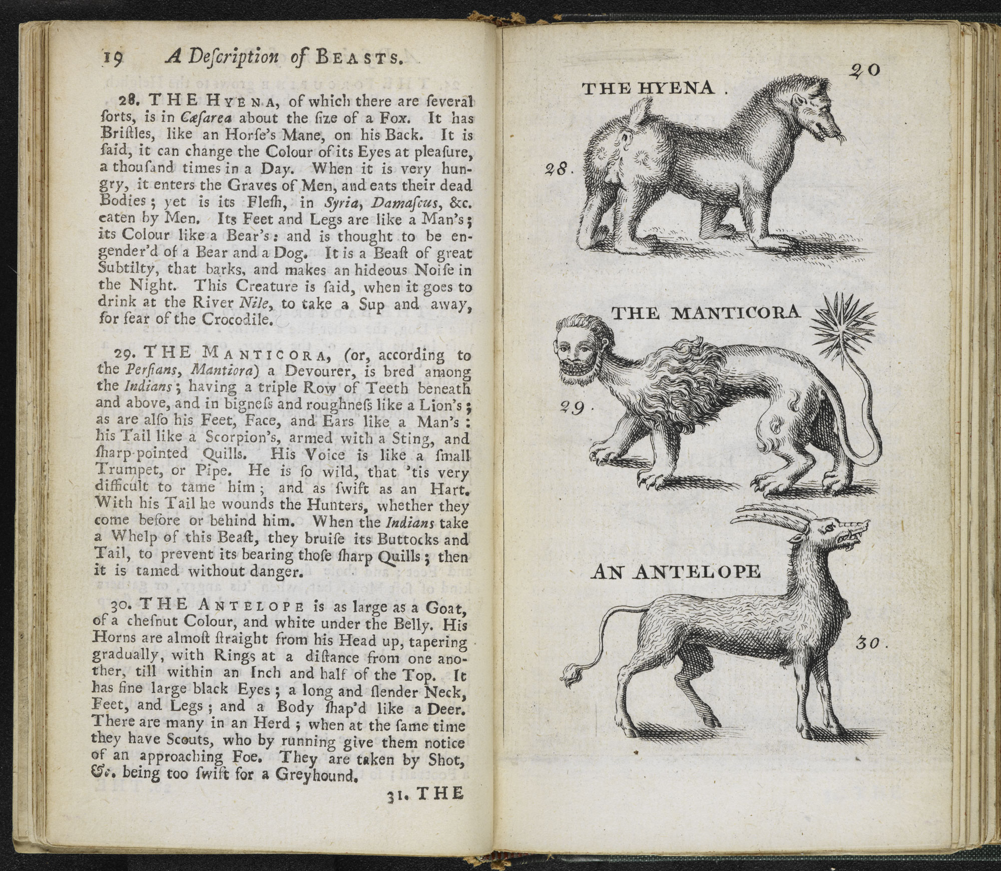IIIF test