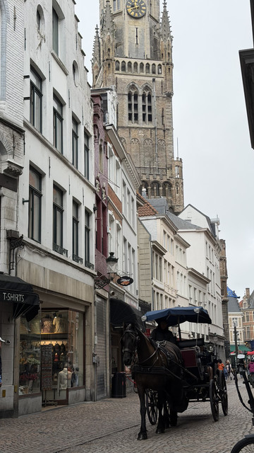 IMG 0391
