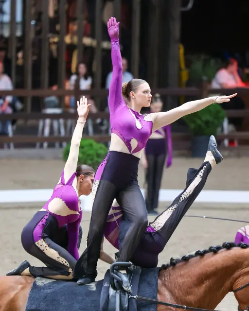 EQUINE VOLTIS77a vaulting belgium