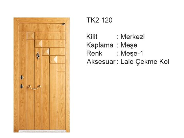 Steel door TK2 120