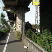 2012-07-23-11