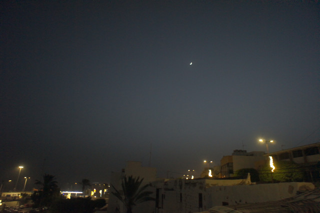 DSC00903