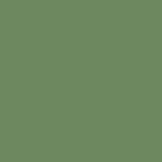 green-cabinets