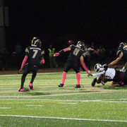 IMG-8525