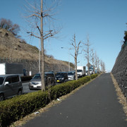 2012-01-06-202