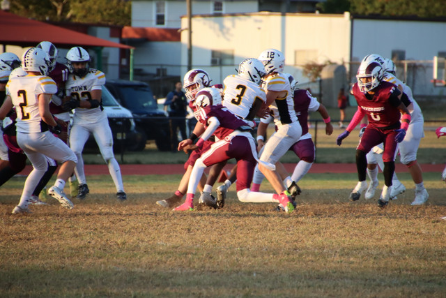 IMG-1399.jpg