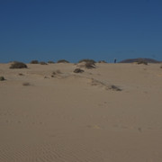 DSCF8573