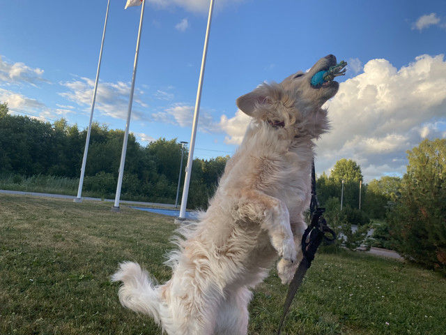 78-D2-D7-C8-9-BD2-4-C5-B-A874-78415-F01-