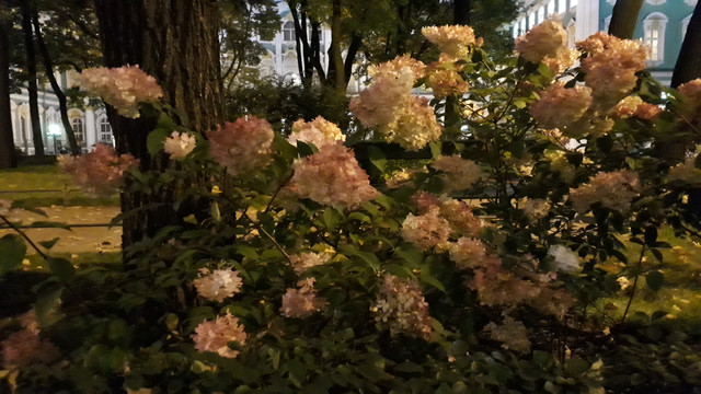 20170929-203359