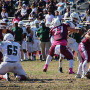IMG-3329