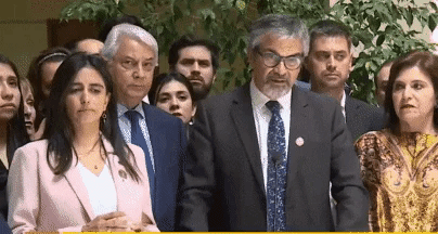 muppets-boric.gif