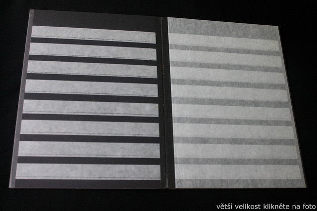 IMG-6791.jpg