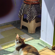IMG-20240908-115441