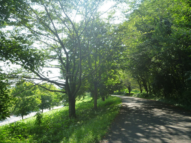 P1340794