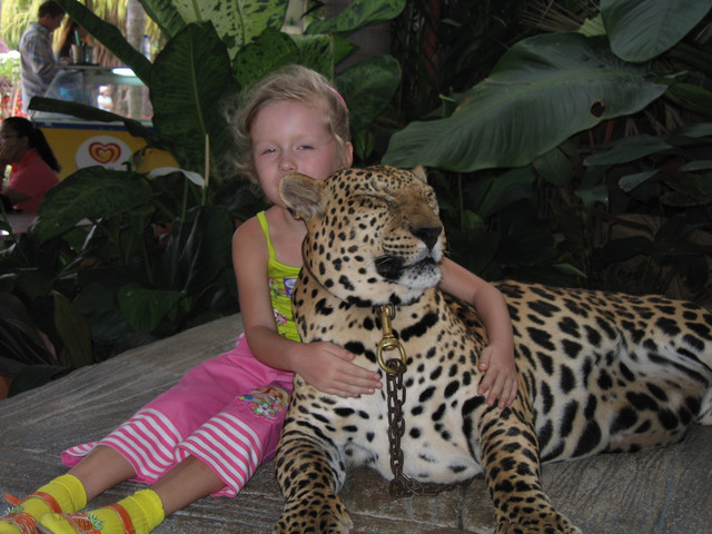 IMG-1597