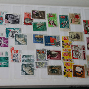 IMG-3023
