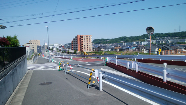 DSC-0010.jpg