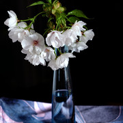 DSCF2490d860