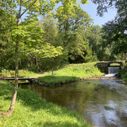 IMG-3418