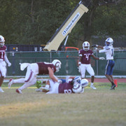 IMG-6584