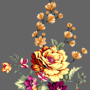 c553fea73e3690ed95b979f8317a5a7f