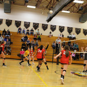 IMG-0210