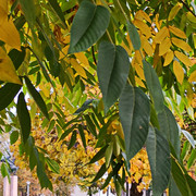 IMG20211004113018