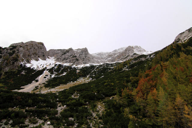 IMG-0240