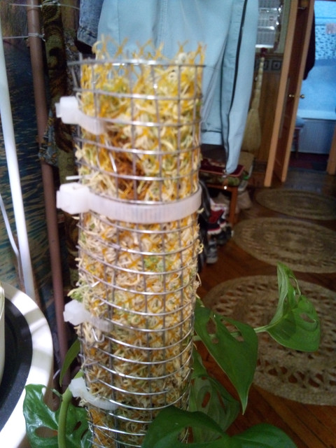 IMG-20231007-081121.jpg