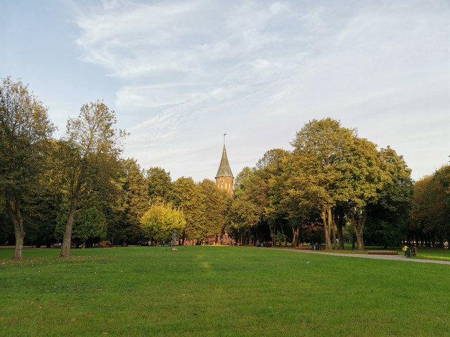 hdr