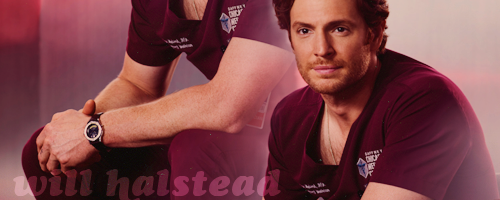 willhalstead02.png7