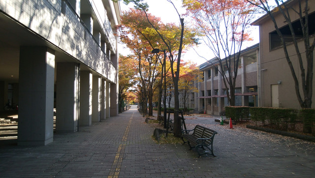 2022-11-04-57