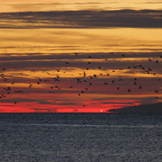 IMG-3285