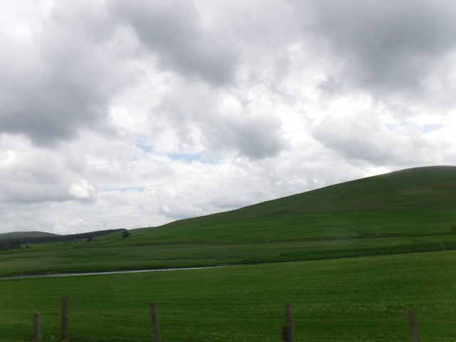 DSCF7934.jpg