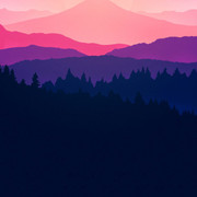 wallpaper17