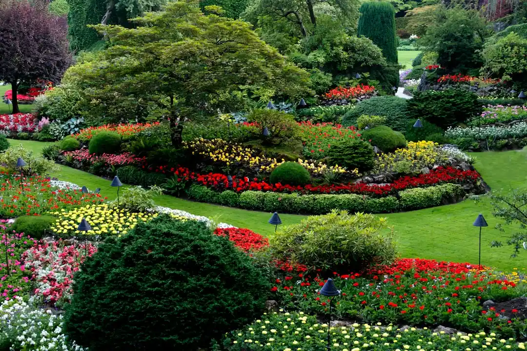 Patru flori de plantat în fiecare an pentru o grădină prosperă