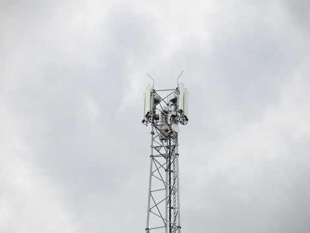 IMG-4013