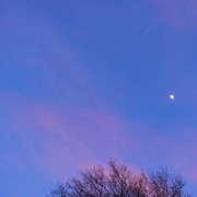 DSC09937