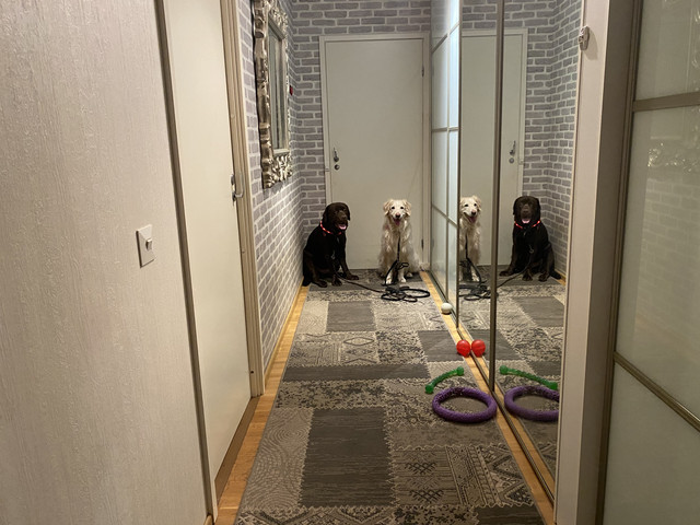 30845986-FA2-F-44-C9-B2-BC-D5-F7-ABA9-E9