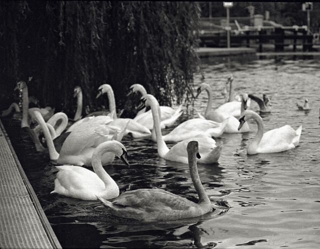 Scan-140312-0007.jpg