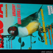 IMG-7802