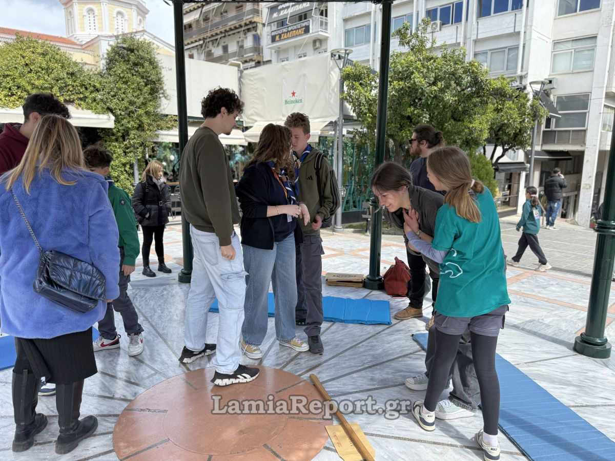 IMG 4462
