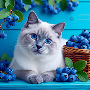 Cat Jigsaw Puzzles