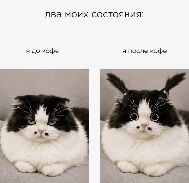 a8bc907af9e7d6398c74cb0af11ad7d7