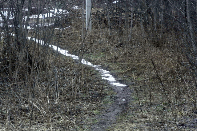 DSC8462-2.jpg
