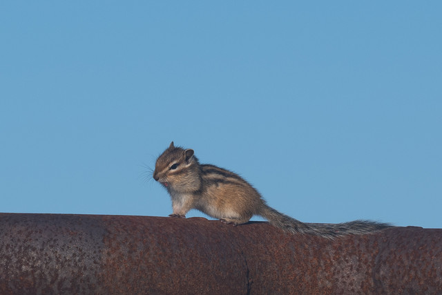 DSCF5764.jpg