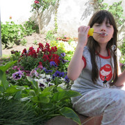 IMG 0199
