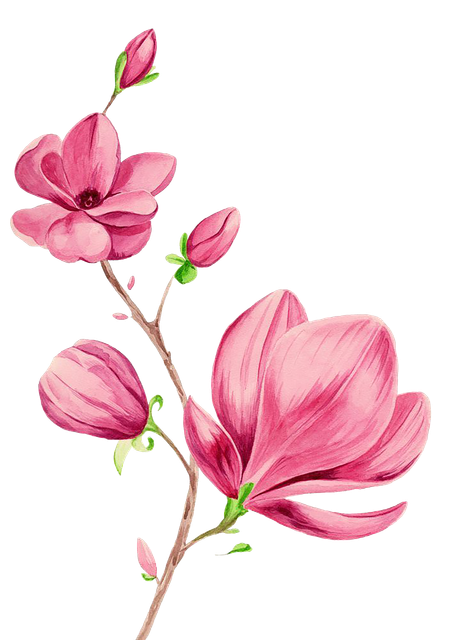 040ea74c74d390096a8aee8a19b54803.png