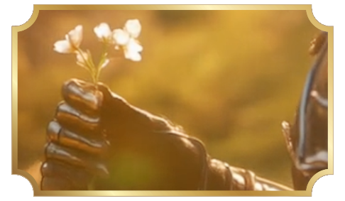 [Image: flashback-four.png]