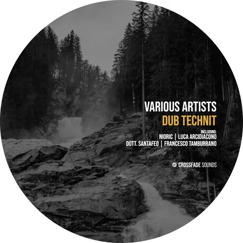 VA – Dub technIT [CS300]